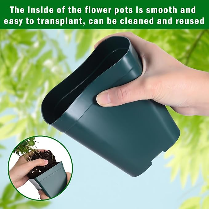 June Fox Plastic Seedling Pots, 60 Pack Square Nursery Pots 4 Inch, Small Plant Pots with Drainage Holes for Seedlings, Succulents, Cuttings (Green)