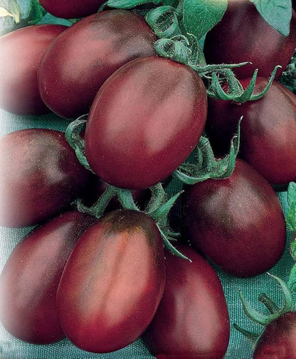 Seeds Vegetable Black De Barao Tomato - 40 Seeds