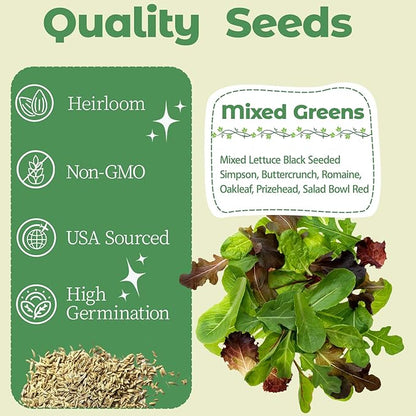 Salad Greens Mix Seed Pod Kit for Aerogarden, 8-Pods Hydroponic Refill Pack, Compatible with All Indoor Gardens, Includes Grow Sponges, Plant Food, Grow Anything Seed Pod Kit, 8-POD