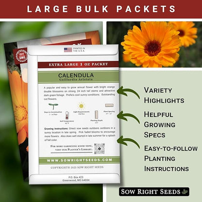 Sow Right Seeds - Bulk Ball’s Orange Calendula Seeds for Planting - 1 Ounce, 2800 Seeds - Non-GMO Heirloom Jumbo Pack with Instructions to Plant a Garden - Grow Loads of Orange Blooms for Pollinators