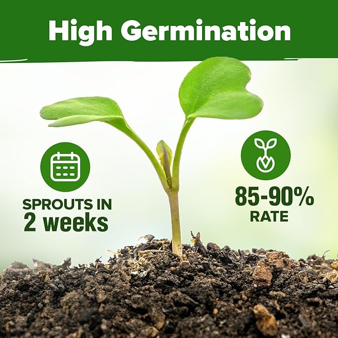 HOME GROWN Herb Seeds 32 Medicinal Herbs and Tea Variety Pack – Annual & Perennial Herb Seeds for Planting Indoors & Outdoor – Non-GMO, Heirloom Seeds, Easy to Grow, High Germination Garden Kit