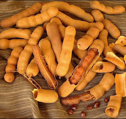 TomorrowSeeds - Tamarind Tree Seeds - 5+ Count - for 2026 Planting Tamarindus Indica Tamarindo Indian Date Imli Assam Asam Java Sweet Sour Pulp Tropical Fruit Trees Perennial Grow Your Own Home Farm