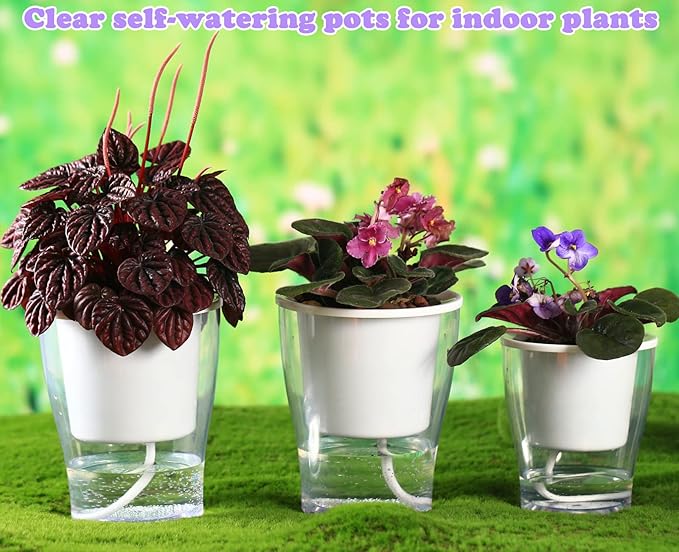 6-Pack 7 Inch Large Self-Watering Planters - Clear African Violet Pots, Plastic, Wick, Orchid Pots - Indoor Plants