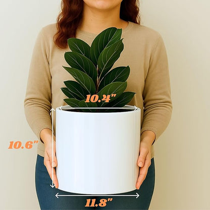 Fox & Fern Large 12 Inch Planter - Lightweight Fiberstone Glossy White Plant Pot - Drainage Plug - Large Indoor & Outdoor Floor Planter - 12 Inch Pots for Plants - Weather Resistant & UV Resistant