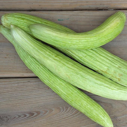 Armenian Yard Long Cucumber Seeds - 150+ Seeds