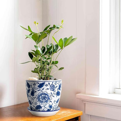 8 inch Ceramic Planters for Indoor Plants, Chinoiserie Decor Ceramic Pots for Plants Flower Plant Pots Indoor with Drainage and Saucer, Blue and White