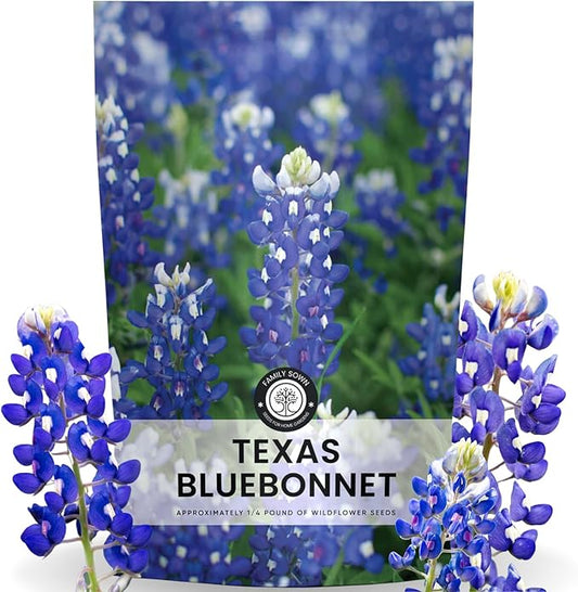 Texas Bluebonnet – 3,000 Seeds for Planting – 2026 Season – 4 Ounce Pouch