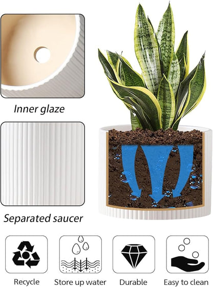 Ceramic Plant Pots, 8.1 + 6 Inch Planters for Indoor Plants, Modern Flower Pots for Plants with Drainage, Medium Cylinder Flower Pots for Indoor Plants, House Plants, Matte White