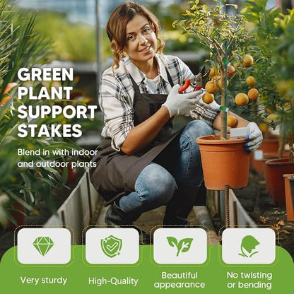 Plant Support Stakes for Climbing Plants, Stackable, Indoor Outdoor Use, Monstera Philodendron Pothos (10inch-10PCS)