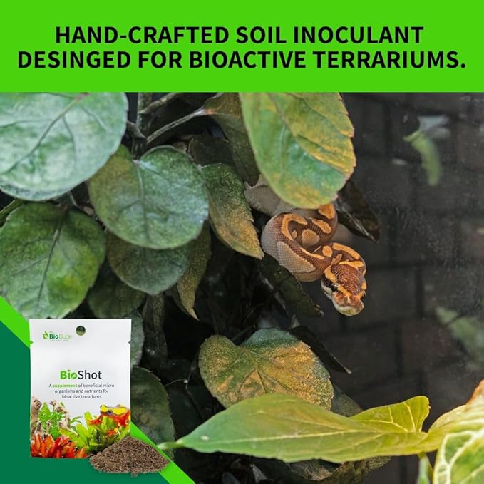 The Bio Dude BioShot for bioactive Substrate - Soil inoculant and Plant Booster (36 Quart Substrate Shot)