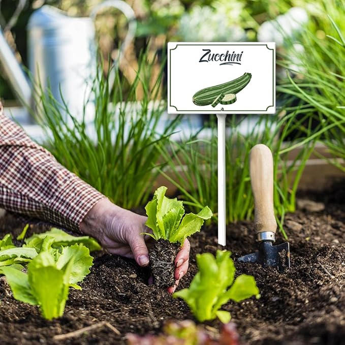 Boylee 8x12inch Aluminum Garden Signs for Vegetables, Flowers & Herbs - Modern, Weatherproof, Easy to Install - Zucchini Garden Signs with Stake