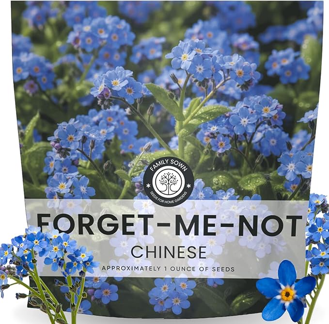 Chinese Forget Me Not – 4,000 Seeds for Planting – 2026 Season – 1 Ounce Pouch