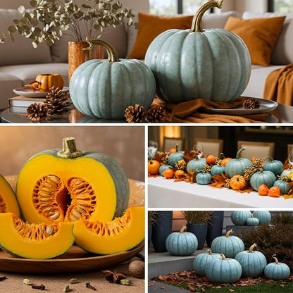 Exotic Blue Pumpkin Seeds | 10 Seeds Packet | Blue Jarrahdale Pumpkin | Beautiful Slate Color for Fall Décor & Baking | Easy Heirloom Seeds