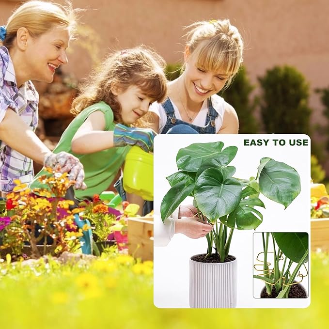 6PCS Plant Stem Support, Monstera Plant Support, Unique Designed Stable Plant Support Stakes for Plants Stabilizer, Turtle Shell Bamboo Clamp Set for Outdoor & Indoor Climbing Plants Thriving Growth