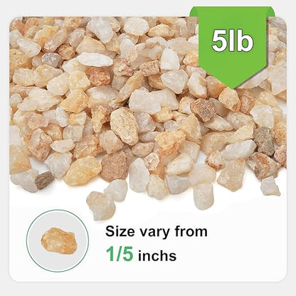 5 lbs Coarse Sand for Plants, 1/5 Inch Horticultural Sand for Succulents, Desert Silica Sand for Cactus, Vases, Aquariums, Terrarium, Fish Tank, Drainage Gravel for Potted Plants, Bamboo, Crafts