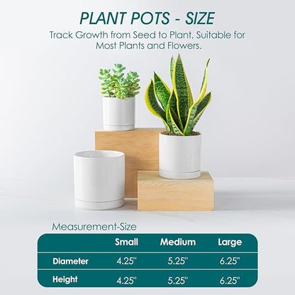 vancasso Ceramic Plant Pots, 3 Piece Planters for Indoor Plants, 4.25+5.25+6.25 Inch Flower Pots with Drainage, Plant Pots Indoor for Succulent, Pothos, Snake Plant and Money Tree, Etc (White)