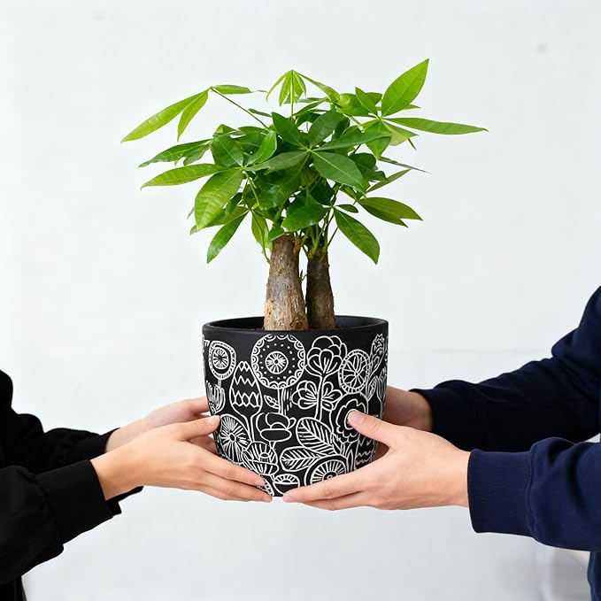 Terracotta Pots, 6.5+5+4.4 Inch Plant Pots with Drainage Hole- Floral Pattern, Black Boho Ceramic Planters for Indoor Plants, Flower Pots Indoor Succulents, Herbs Plants,Set of 3