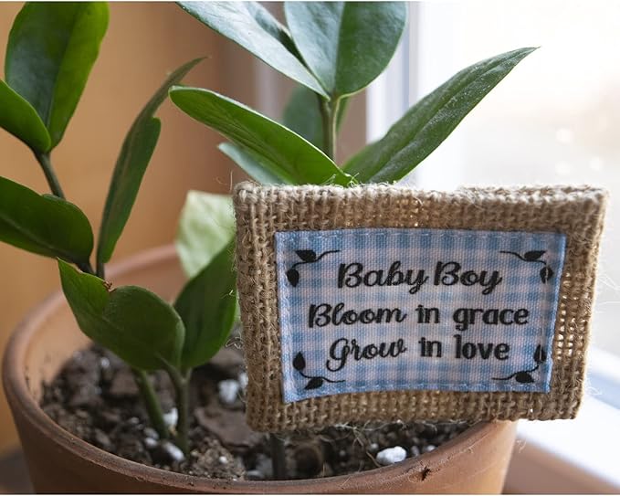 Abbey & CA Gift Baby Boy Flower Pick Flag