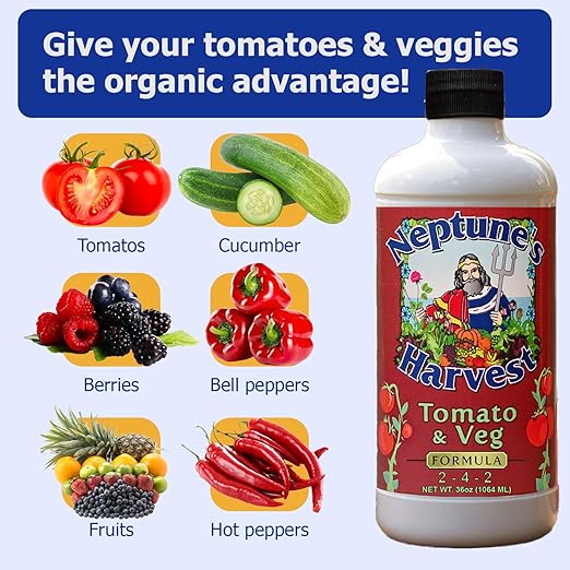 Neptune's Harvest Organic Plant Fertilizer | Liquid Fertilizer for Lawn, Garden & Houseplant | Rich in Essential Nutrients | Hydrolyzed Fish 2-4-1 (Quart) + Tomato & Veg Plant Food 2-4-2 (Quart)