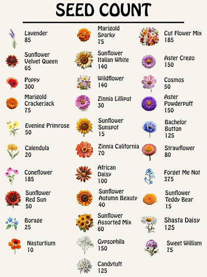 Set of 62 Premium Variety Flower Seed Packets - Heirloom Non-GMO and Proudly Sourced in The USA (62)