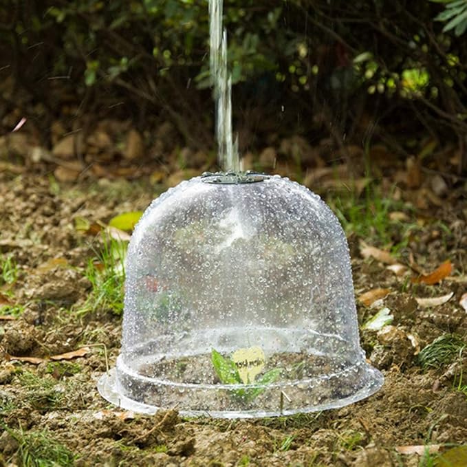 Set of 6 Original Bell Jar Cloches, 10IN Reused Plant Protector Cover Mini Greenhouse with Plant Labels Garden Cloche Dome Plant Bell Cover Plastic Plant Bell Cover for Garden Outdoors(#1)