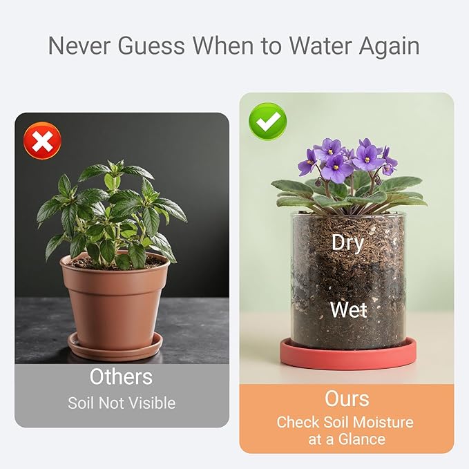 3-Pack 4 Inch Clear Glass Plant Pots with Drainage and Ceramic Trays, Indoor Herb Planters for Home Office, Succulents & Small Plants (Primary 3-Pack)