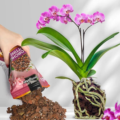 Organic Orchid Potting Mix 4qt, Mixture of Orchid Bark and Perlite, Specifically Formulated for Orchids