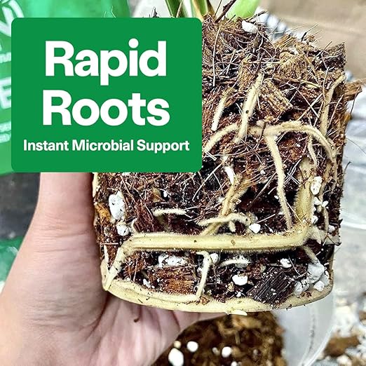 Noot 'Keep House Plants Alive' Bio-Organic Plant Food Liquid Fertilizer, Makes 3.5 Gallons, Root Boosting Mycorrhizae, Fast Growth for Monstera, Aroid, Succulent, Orchid - Use Every Watering (1 Vial)