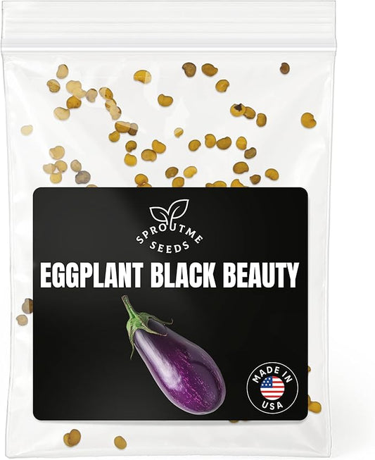 Eggplant Black Beauty Seeds for Planting – 100+ Heirloom Non-GMO Purple Eggplant, Warm Season Vegetable for Indoor Starts & Summer Gardens, High Germination (Solanum melongena)