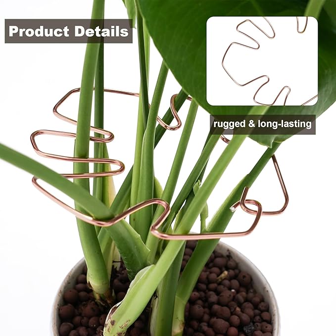 6PCS Plant Stem Support, Copper Monstera Plant Support, Unique Designed Stable Plant Support Stakes for Plants Stabilizer, Turtle Shell Bamboo Clamp Set for Outdoor & Indoor Plants Thriving Growth