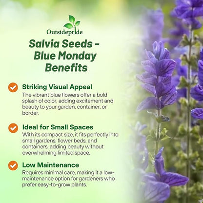 Outsidepride Blue Monday Salvia Seeds - 2,000 Pcs Annual, Compact, Heavy Blooming & Drought-Tolerant Sage Seeds for Planting Fragrant Blue Blooms for Butterfly & Hummingbird Gardens & Landscaping