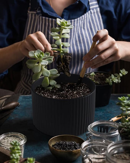 Matte Black Ceramic Plant Pots, 8.1 + 6 Inch Planters for Indoor Plants, Modern Flower Pots with Drainage, Two-Sizes Set