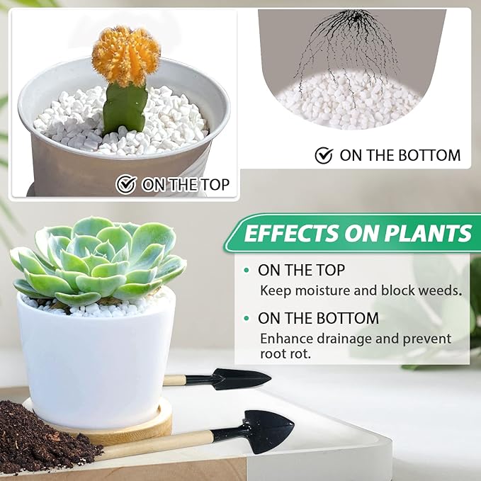 Succulent Rocks for Plants Tiny Pebbles for Planters 4.8LB Pea Gravel Bulk Course Sand Soil Small Decorative Stones for Indoor Bonsai Pots Cactus Top Dressing Aquarium Garden Landscape, White