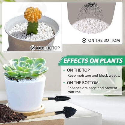 Succulent Rocks for Plants Tiny Pebbles for Planters 2.8LB Pea Gravel Bulk Course Sand Soil Small Decorative Stones for Indoor Bonsai Pots Cactus Top Dressing Aquarium Garden Landscape, White
