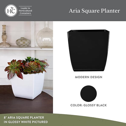 The HC Companies 6 Inch Aria Square Planter - Plastic Plant Pot for Indoor Outdoor Plants Flowers Herbs, Glossy Black