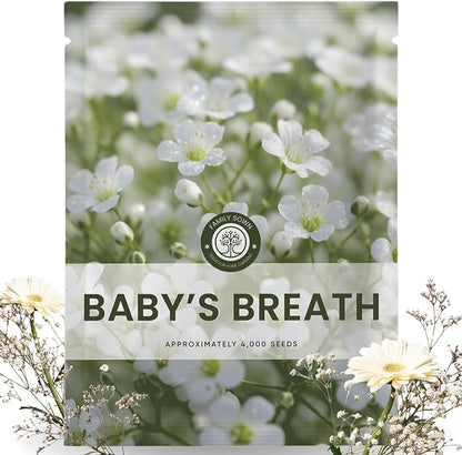 Baby’s Breath – 4,000 Seeds for Planting – 2026 Season – 5 Gram Pouch