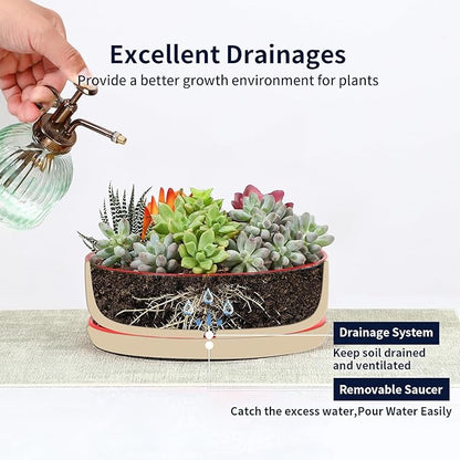 Selamica Ceramic Succulent Pots, Shallow Succulent Planters with Drainage Hole & Saucer, Indoor Plant Pots for Cactus, Home Decor，Assorted Colors,8 inch，Set of 2