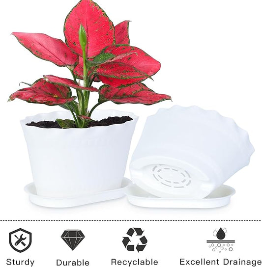Herb Planter Pots 6 Pcs, Window Box Planter Flower Plants Pots for Succulent Cactus Flower with Trays, for Home Garden Kitchen Decor (White)