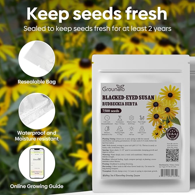 Black Eyed Susan Seeds, 7500+ Perennial Flower Seed to Plant Indoor & Outdoor, Attract Pollinators | Non-GMO | Heirloom Wildflowers Seeds, USDA Zone 3-9