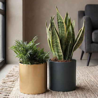 Metal Plant Pot with Drainage Hole,Mid Century Modern 7 inch Round Pot Indoor Outdoor Planters for Decorative Pots of Tabletop Living Room Bedroom Gold