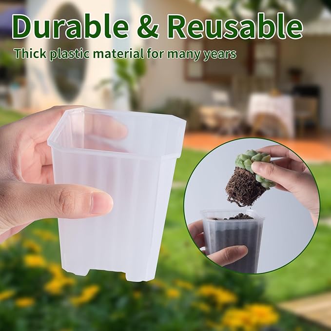 foxany 3 Inch Clear Nursery Pots, 30 Pcs Thick Plastic Plant Pot, Square Flower Planting Pots Variety Pack, Seedling Planter Starter Pots with Saucers for Garden
