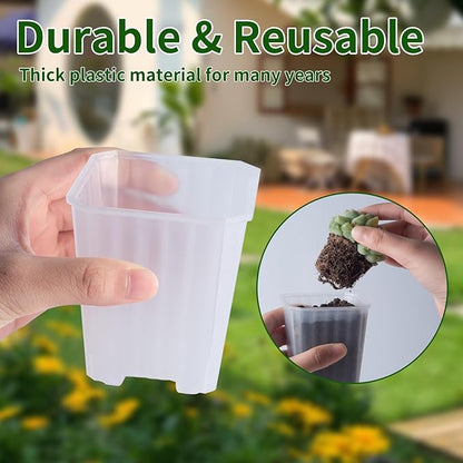 foxany 3 Inch Clear Nursery Pots, 30 Pcs Thick Plastic Plant Pot, Square Flower Planting Pots Variety Pack, Seedling Planter Starter Pots with Saucers for Garden