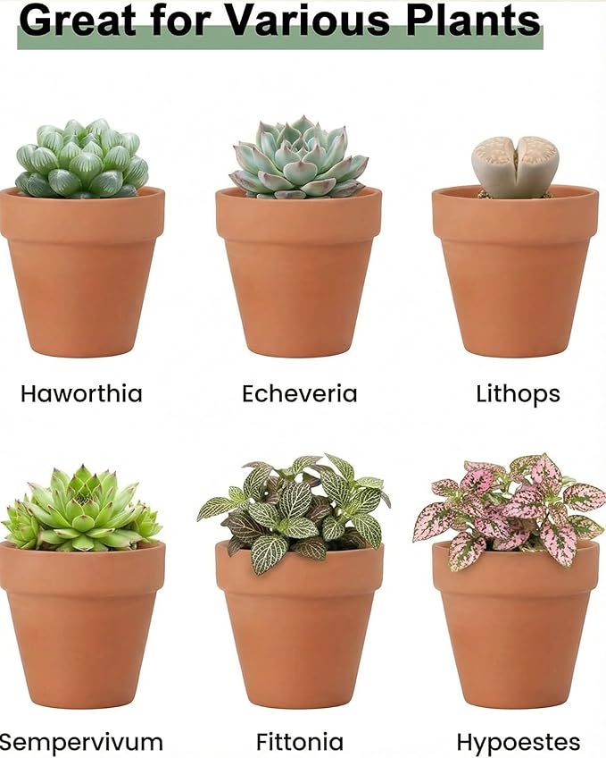 Riseuvo 32pcs 2" Small Mini Terracotta & Clay Pot Planter - Cactus Flower Nursery Terra Cotta Pots with Drainage, Perfect for Indoor/Outdoor Plants, Crafts