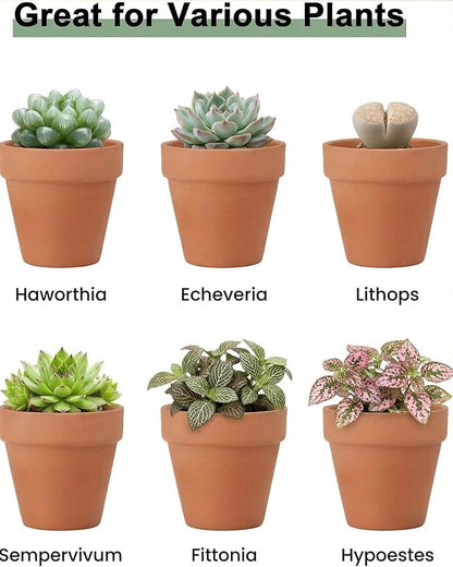 Riseuvo 32pcs 2" Small Mini Terracotta & Clay Pot Planter - Cactus Flower Nursery Terra Cotta Pots with Drainage, Perfect for Indoor/Outdoor Plants, Crafts