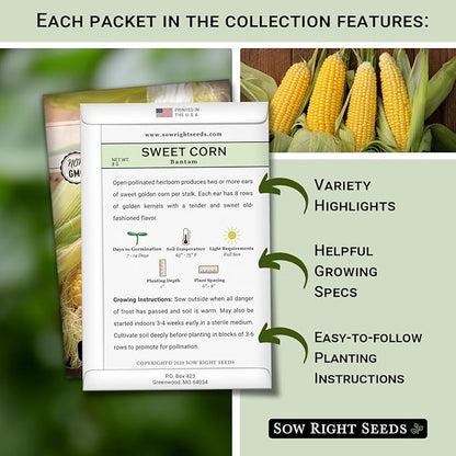 Sow Right Seeds - 3 Sisters Seed Collection for Planting - Packets of Bantam Sweet Corn, Kentucky Wonder Pole Bean, and Waltham Butternut Squash - Non-GMO Heirloom Seeds to Plant Home Vegetable Garden