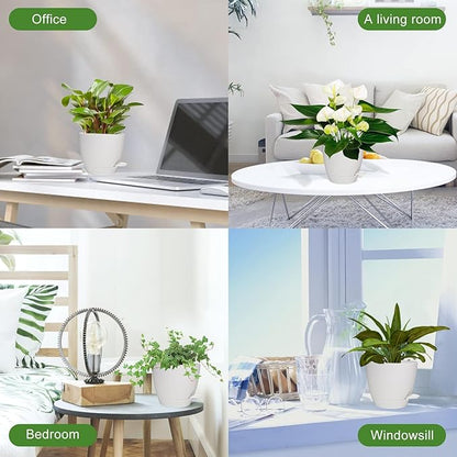 Plant Pots, 7/6.5/6/5.5/5 Inch Self Watering Planters, Pots for Indoor Plants with Drainage Hole for Succulents, African Violet (Matte White)
