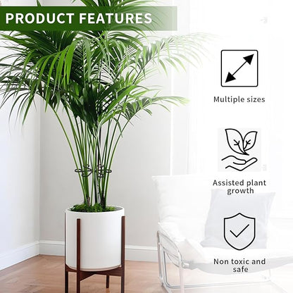 4 Pcs Black Plastic Plant Stem Supports, Assorted Sizes, Indoor/Outdoor, Climbing Plant Trellis Stakes Holder for Monstera Potted Plant