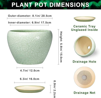 Ceramic Planter - 8 Inch Plant Pot with Drainage Hole and Saucer, Indoor Planters for Indoor Outdoor Plants, Decorative Flower Pots, Office Decor, Plant Lover Gifts, Crackle Light Green