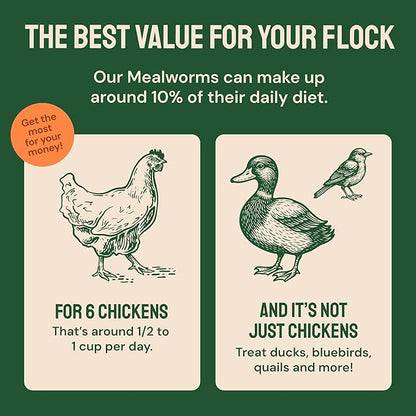 Hatortempt 20lb Dried Mealworms for Chickens - 50% Protein and 32% Essential Fats to Support Healthy Feather Growth During Molt - Organic Treats for Chickens, Ducks, Wild Birds & Reptiles