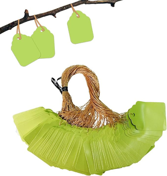 BEADNOVA Plant Hanging Tags 100pcs Tags with String Reusable Plant Labels Markers Plastic Garden Signs Garden Markers for Outdoor (2 Inch, Light Green)
